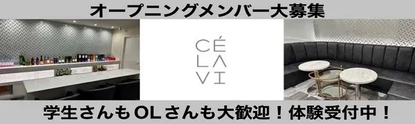 ラウンジ 山口 セラヴィのバイト・ナイトワーク求人