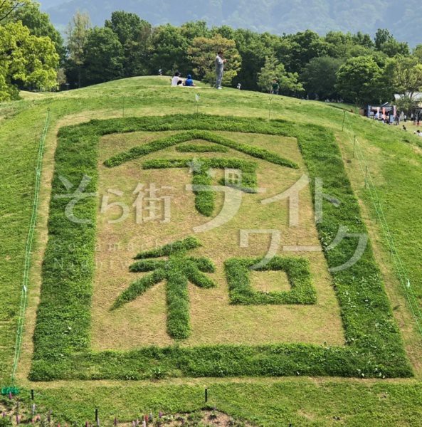 高松市 ラウンジ クラブ國桜(クラブクニザクラ)のブログ