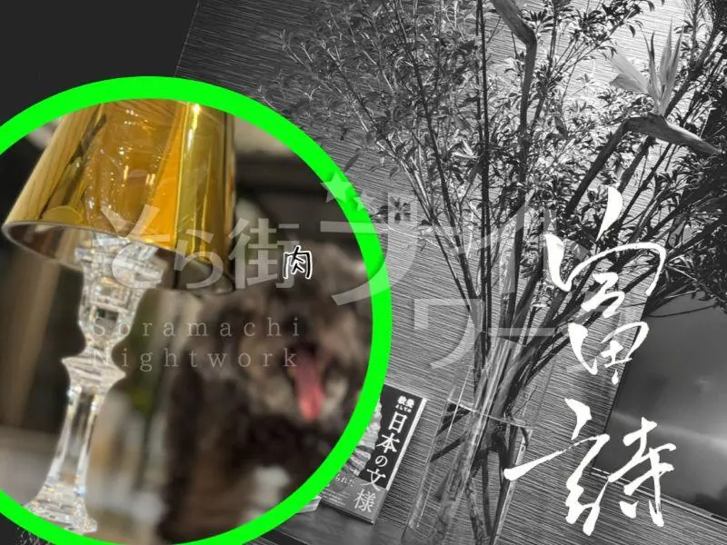 新しい空気感♪必見！当日終われる19時～24時までのレア勤務♪