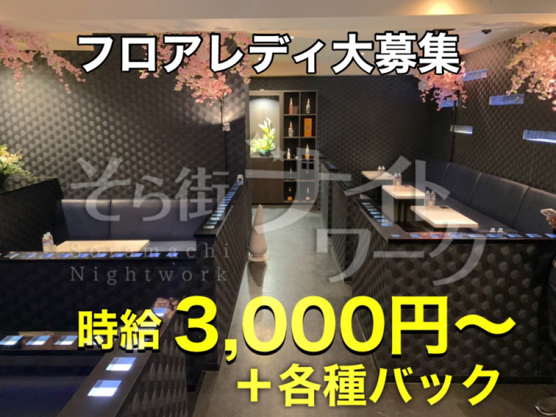 徳島 キャバクラ CLUB Xcrossのバイト求人